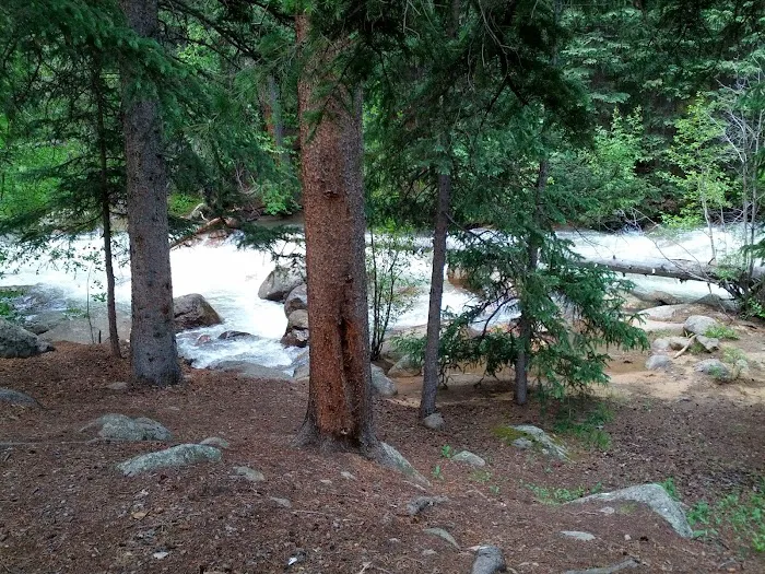 Guanella Pass Campground Picture 10