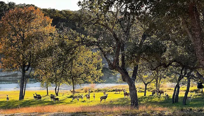 Sparrow Bend River Retreat Picture 7