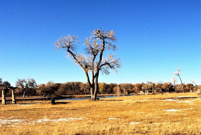 Isleta Lakes & RV Park Picture 3