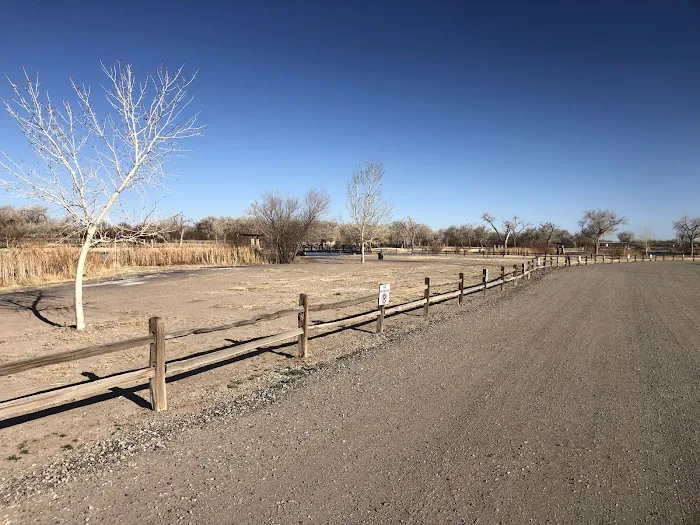 Isleta Lakes & RV Park Picture 10