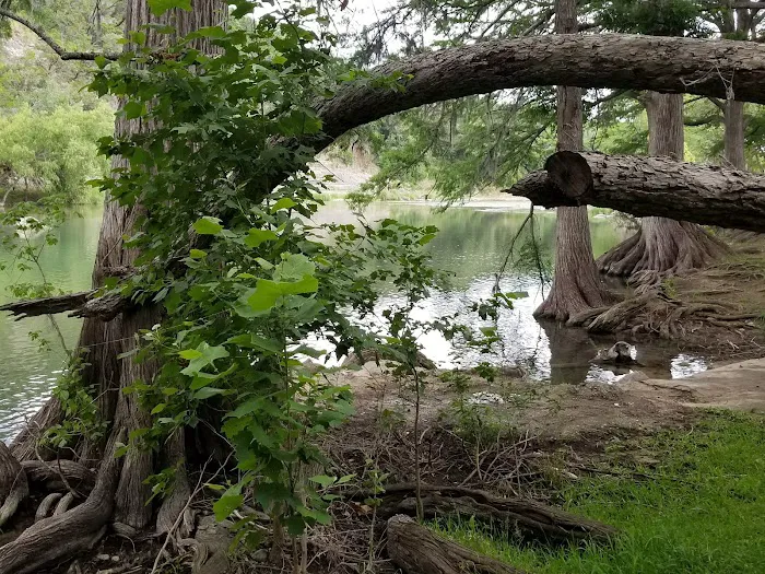 Ol' River RV Park Picture 8