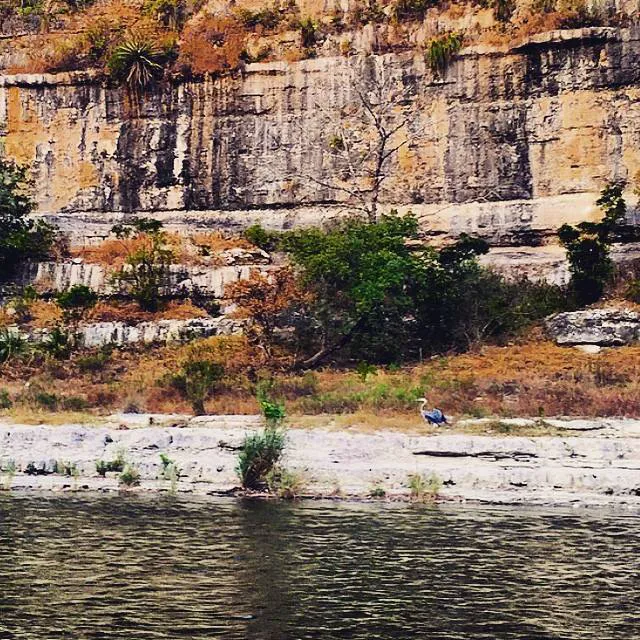 Gypsy River Resort Picture 1