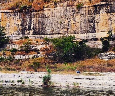Gypsy River Resort