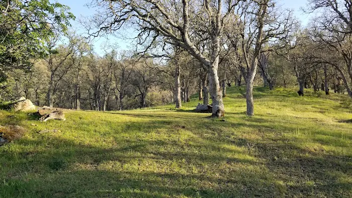 Boyd's Camp Picture 6