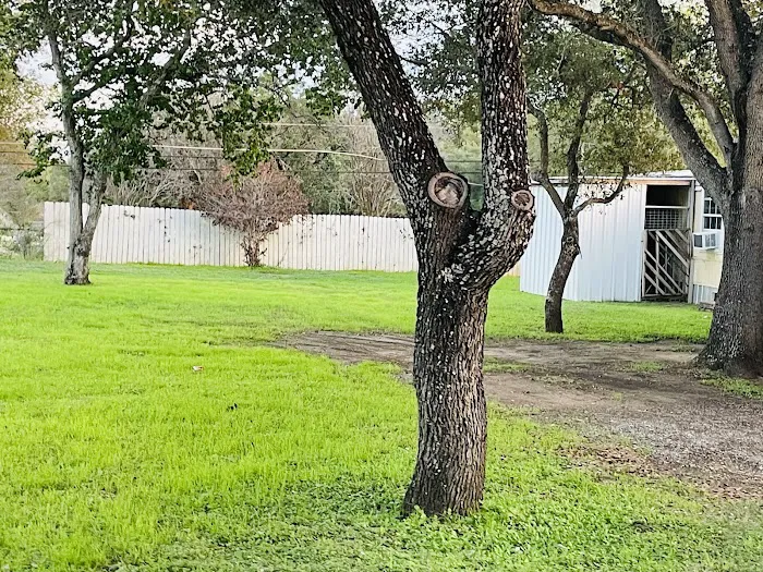 Lake Calaveras Mobile Home Park / RV Community Picture 6