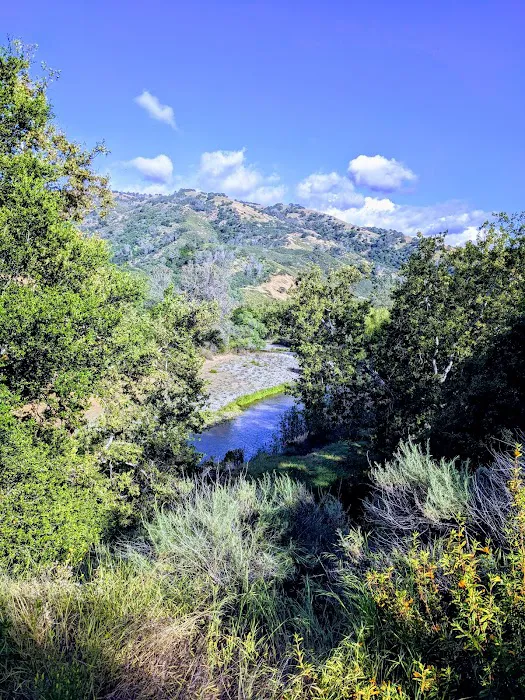 Lake Del Valle Family Campground Picture 2