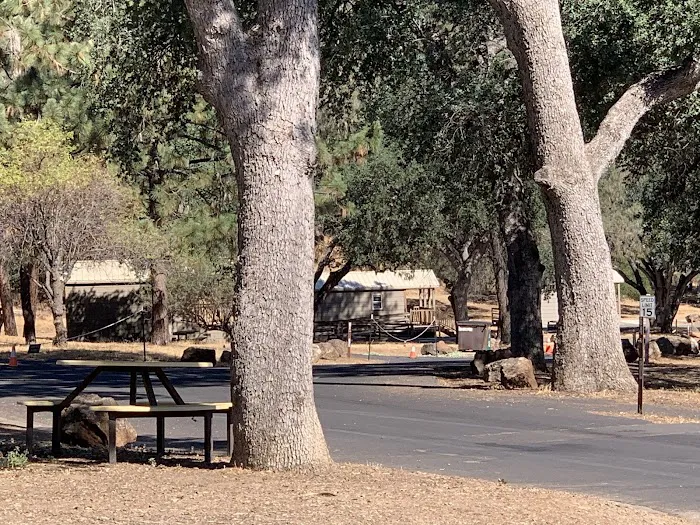 Lake Del Valle Family Campground Picture 4