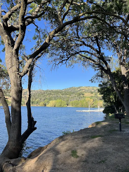 Lake Del Valle Family Campground Picture 6