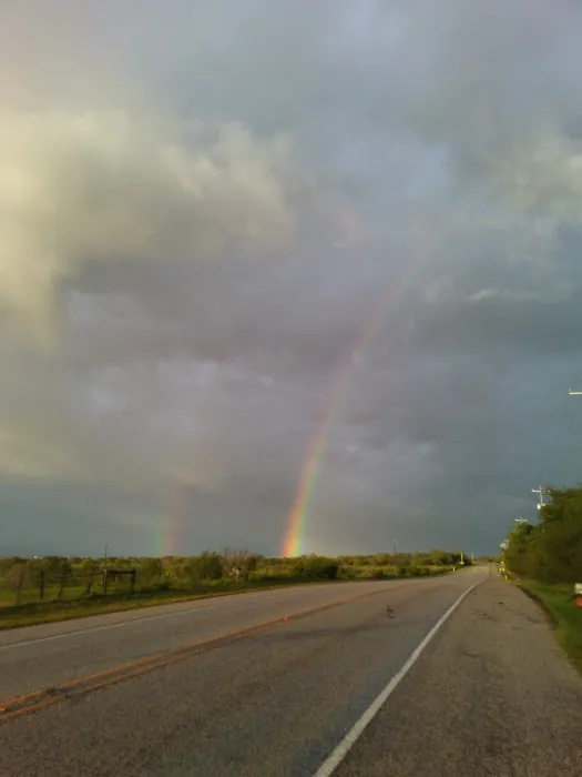 Easy Acres RV Park Picture 4