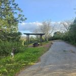 Sierra View Camp