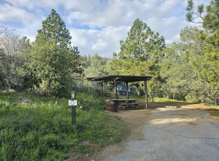 Lion Spring Camp