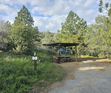Lion Spring Camp