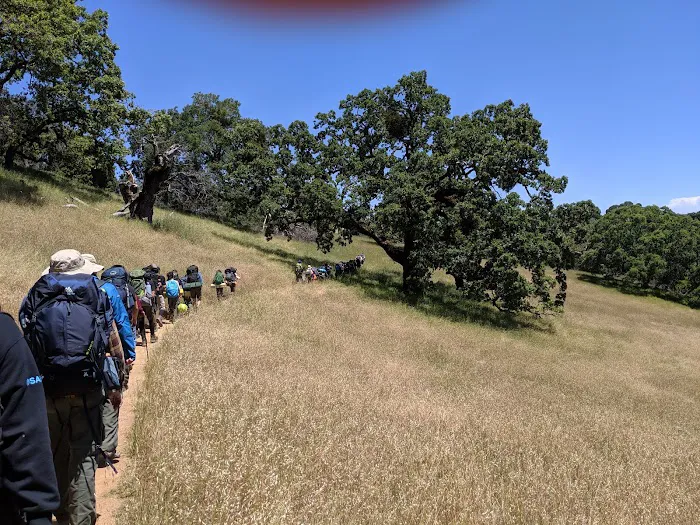 Lion Spring Camp Picture 10