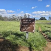 Manzanita Point Camps ico