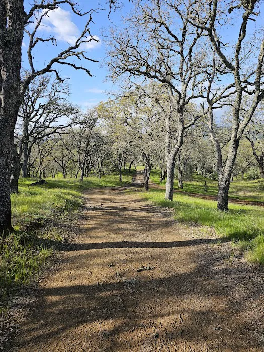 Manzanita Point Camps Picture 5