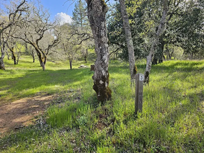 Manzanita Point Camps Picture 8