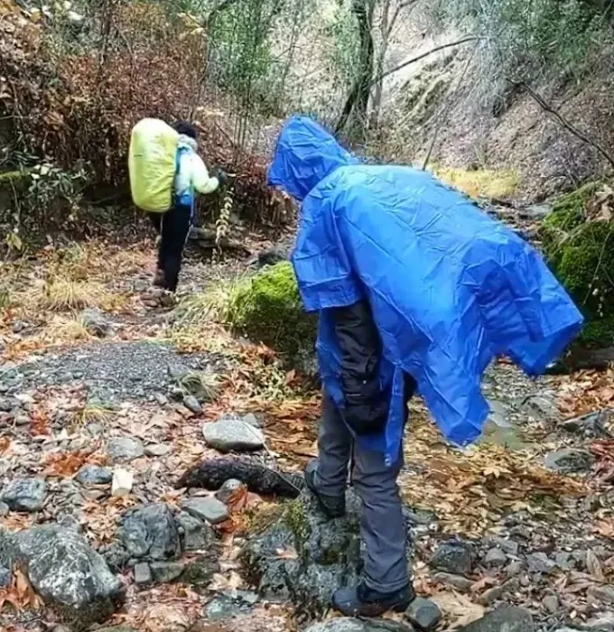 Willow Ridge Trail Camp Picture 3