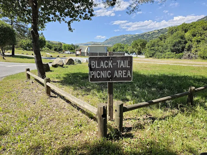 Black Tail group camp site Picture 1