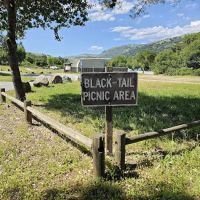 Black Tail group camp site ico