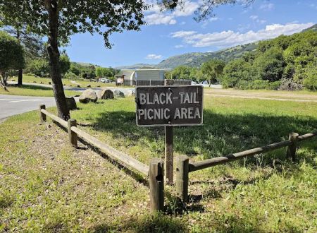 Black Tail group camp site