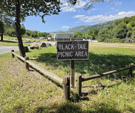 Black Tail group camp site