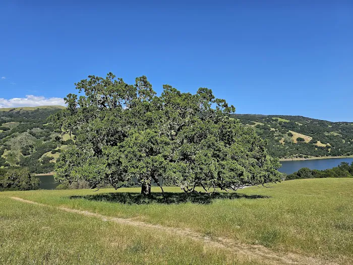 Black Tail group camp site Picture 7