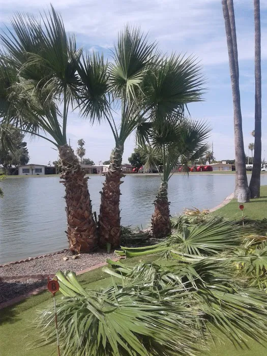 Pueblo Sereno Mobile Home Park Picture 10