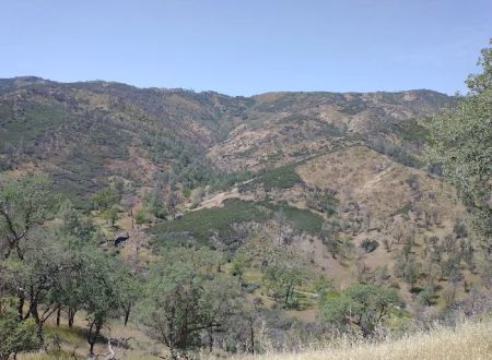 Orestimba Corral