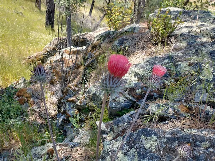 Orestimba Corral Picture 2