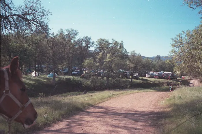 Orestimba Corral Picture 6