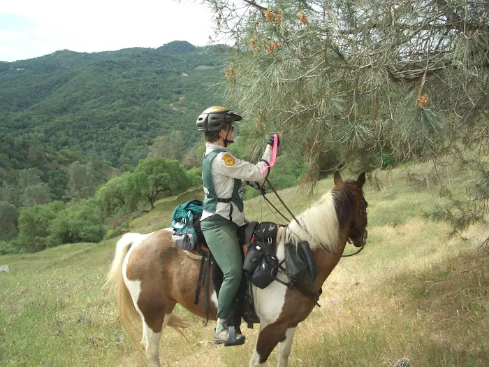 Orestimba Corral Picture 10