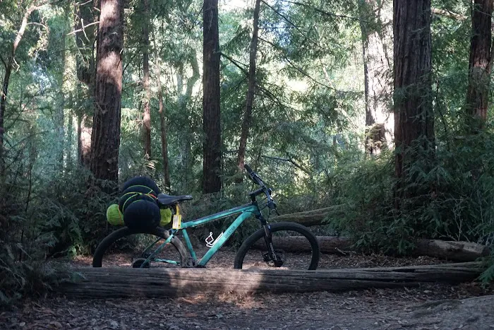 Shaw Flat Trail Camp Picture 1