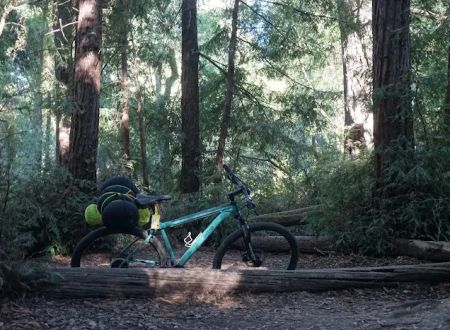 Shaw Flat Trail Camp