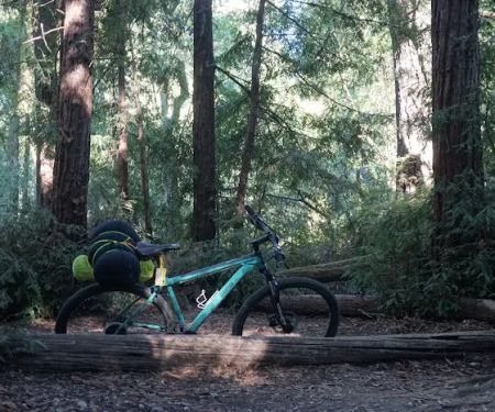 Shaw Flat Trail Camp