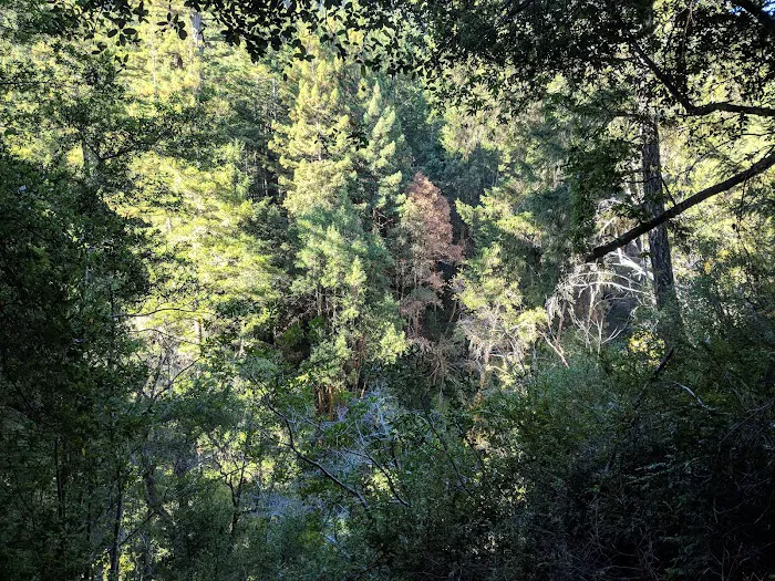 Shaw Flat Trail Camp Picture 4