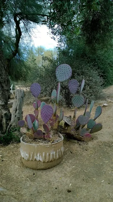 Riviera Mobile Home Park Picture 6