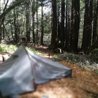 McCormick Creek Camp & Gardens LLC ico