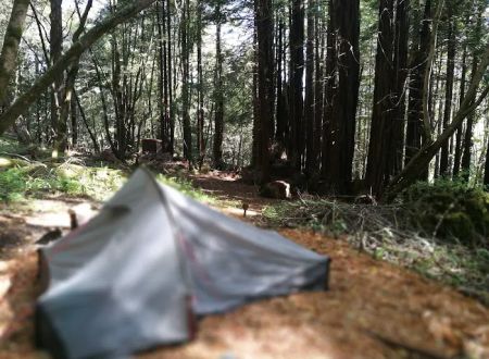 McCormick Creek Camp & Gardens LLC