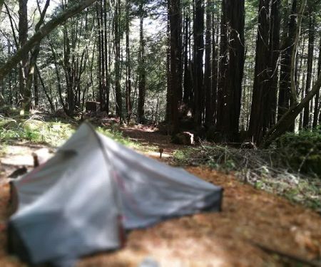 McCormick Creek Camp & Gardens LLC