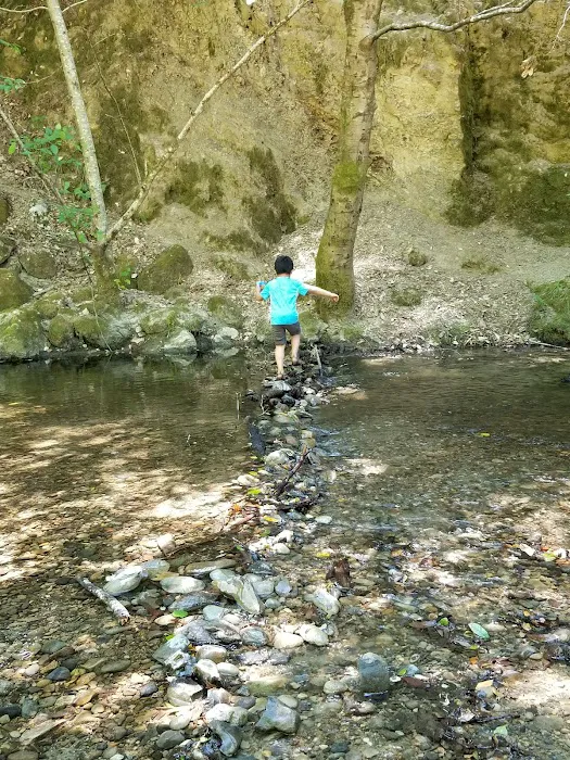 Wurr Flat #2 | Memorial Park Picture 7