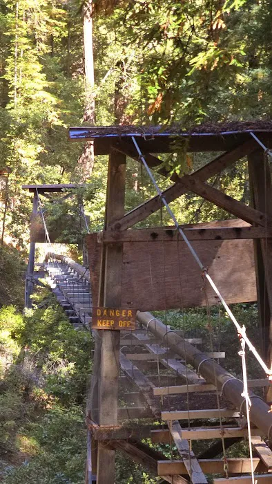 Doug Fir Group Site Picture 1