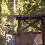 Doug Fir Group Site