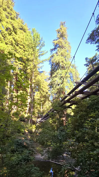 Doug Fir Group Site Picture 3