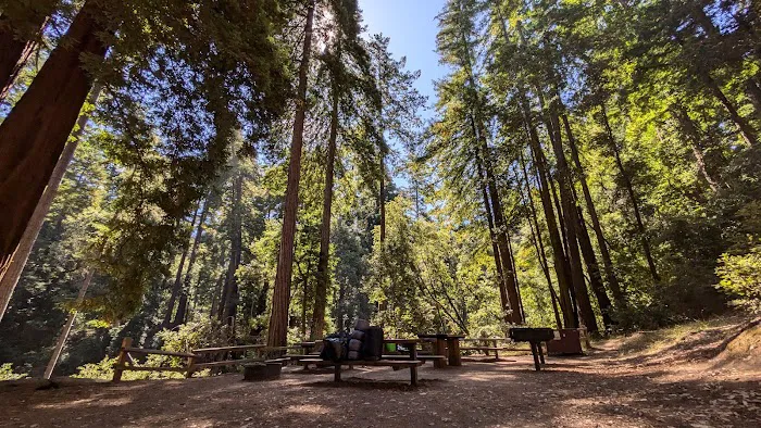 Doug Fir Group Site Picture 8