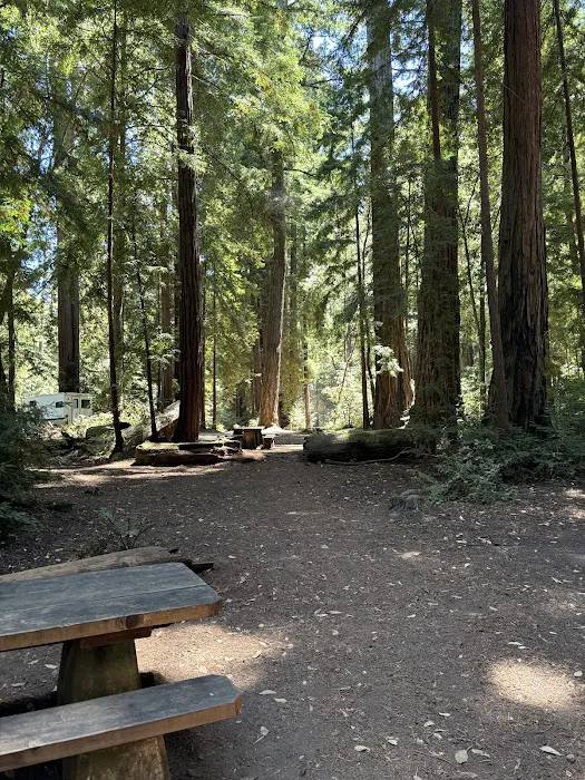 Sequoia Flat Campground Picture 1