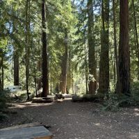 Sequoia Flat Campground ico