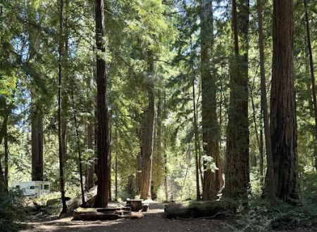 Sequoia Flat Campground