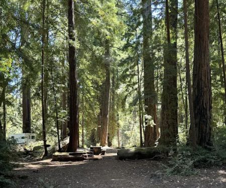 Sequoia Flat Campground