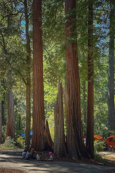 Sequoia Flat Campground Picture 5