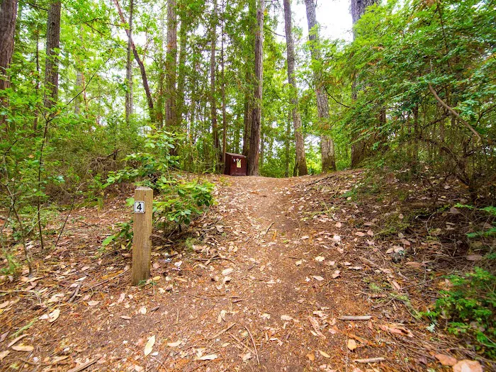 Sunset Trail Camp Picture 9